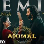 satranga-lyrics-arijit-singh-animal-2023